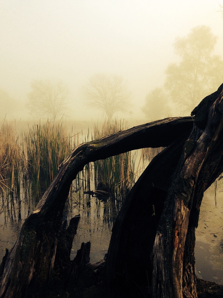 Mystical mysterious nature