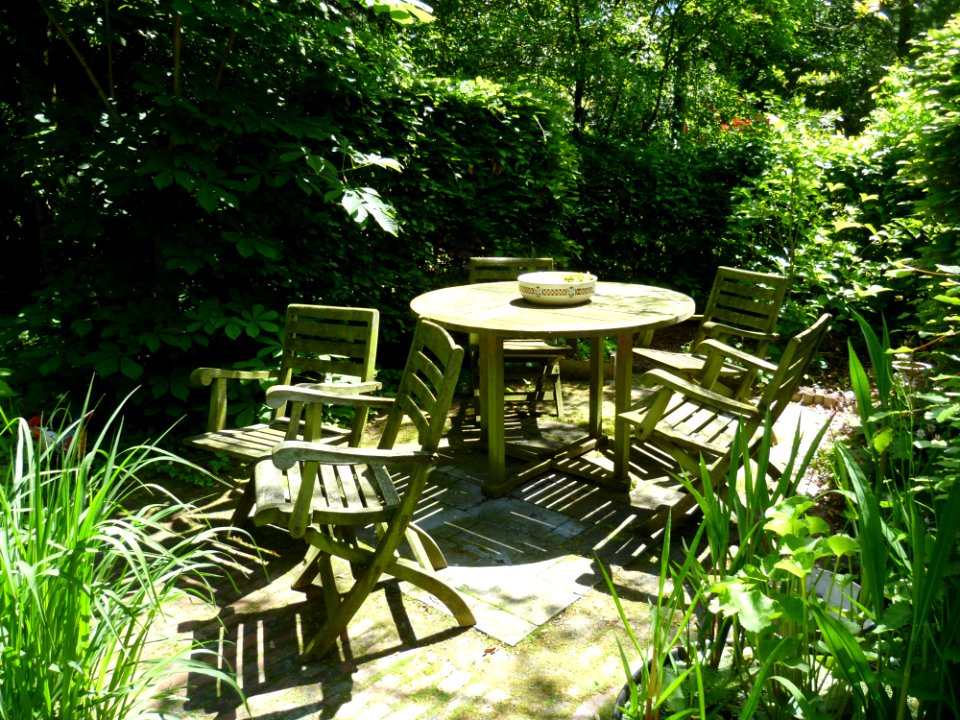 Plant Plant Community Outdoor Table Outdoor Furniture