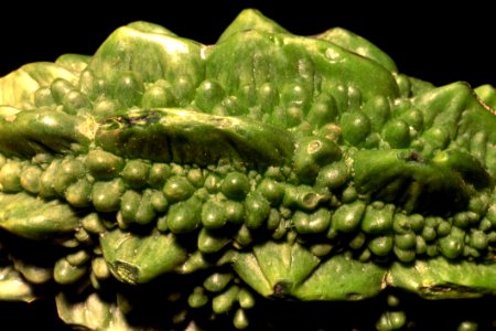 Warty Green Vegetable