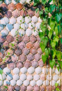 Sunny Wall Full Of Shell