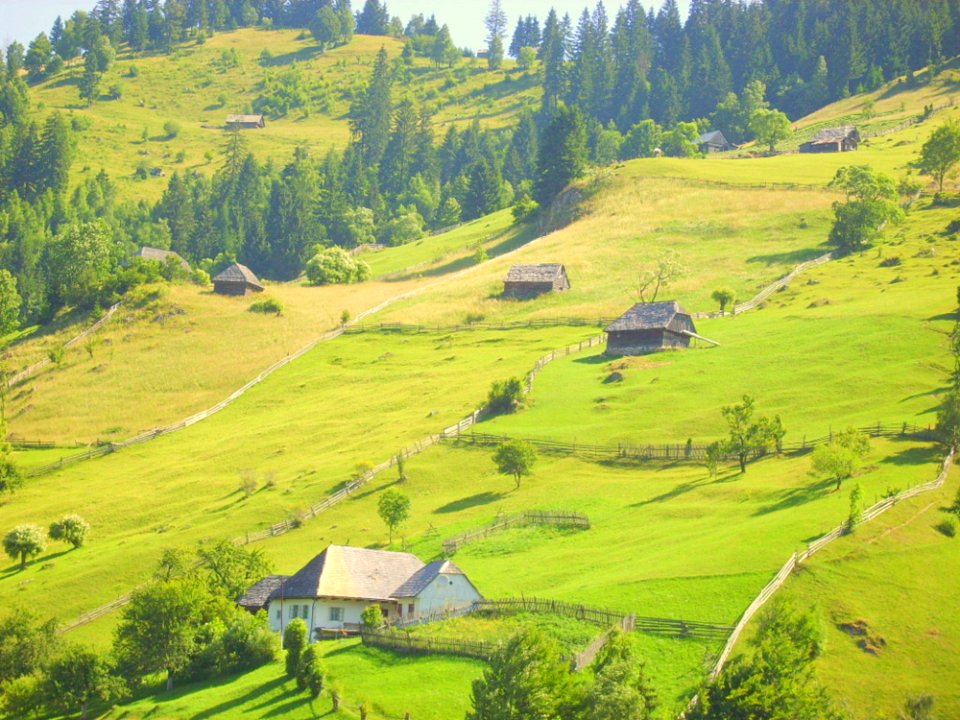 Houses On Hills photo