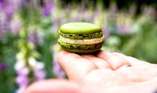 French Macarons Paris France