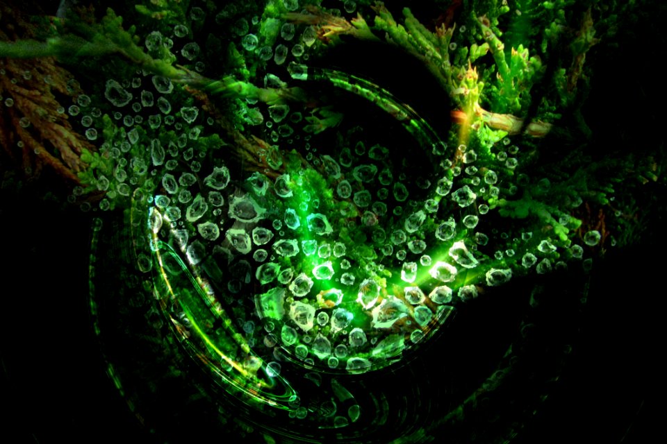 Green Bubbles With Fractal 2