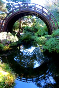 Japanese Arched Bridge With Reflection