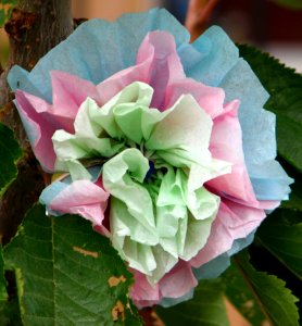 Tissue-paper Flower 1