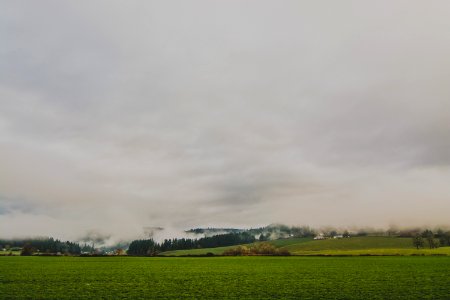 Green Grass On Open Landscape