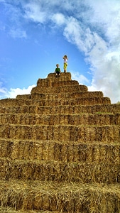 Pyramid sky harvest