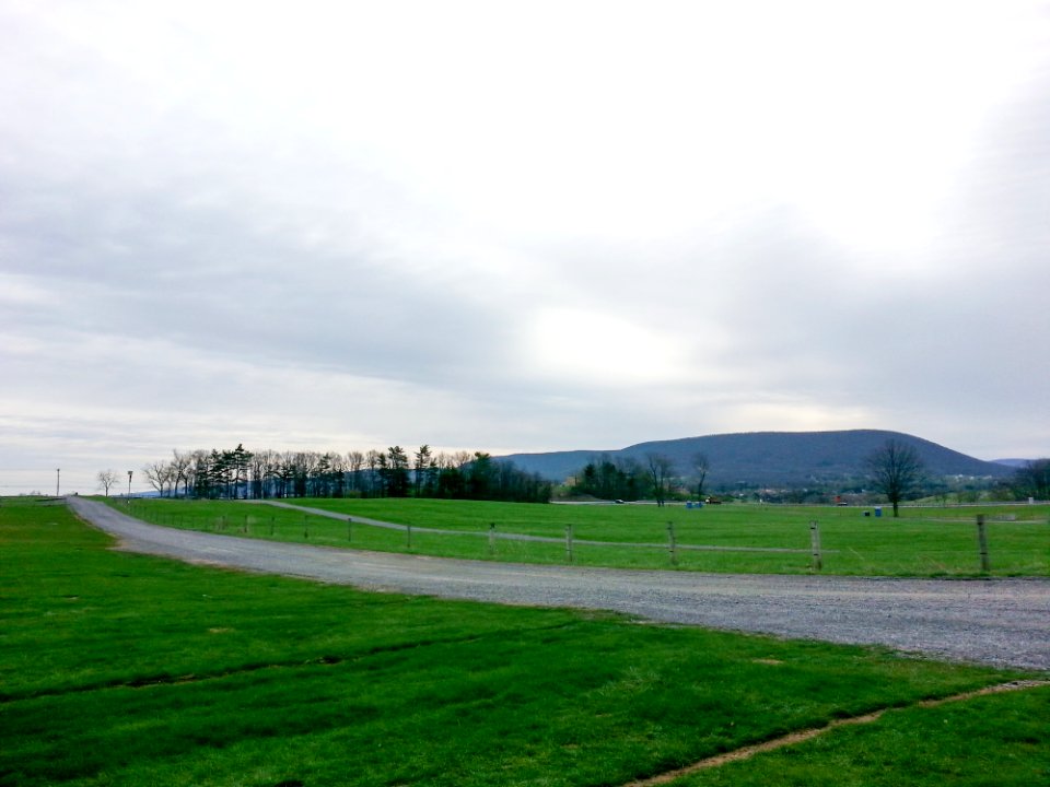 Trail In Park By Green Grass