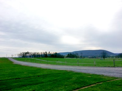 Trail In Park By Green Grass