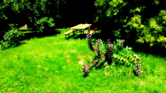 Zuhause Auf Der Wiese Hinter Dem Haus