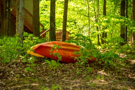 Kayaking At Fountainhead