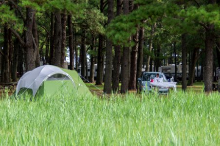 Camping At Maddox Family Campground