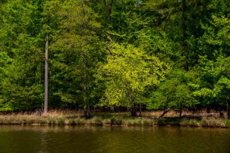 Kayaking At Fountainhead