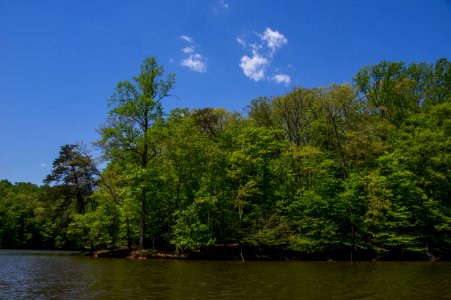 Kayaking At Fountainhead