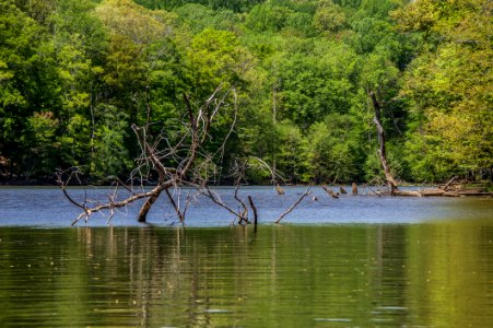 Kayaking At Fountainhead