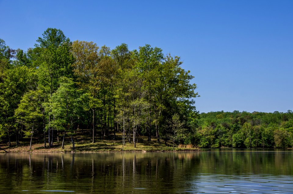 Kayaking At Fountainhead