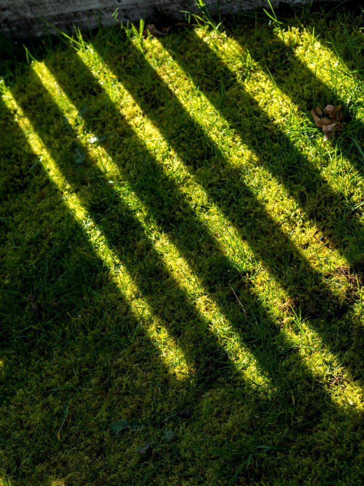 Epic Is Your Fence Shadow East Van Photowalk - -vancouver-em10-20150405-P4050103