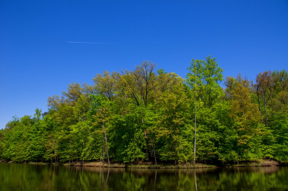 Kayaking At Fountainhead