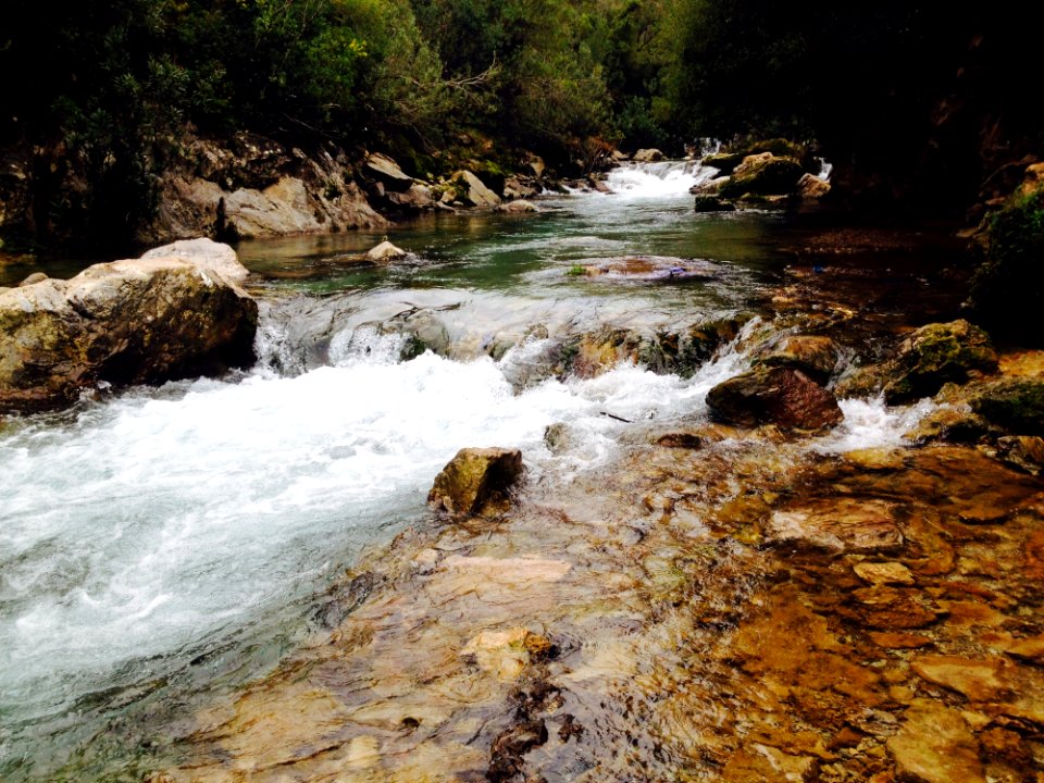 Scenic View Of Waterfall In Forest photo