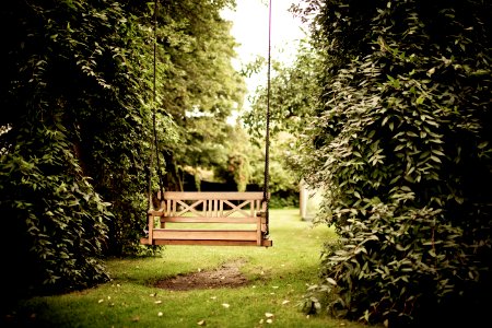 Gazebo Against Trees photo