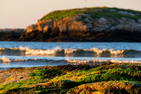 Green Islands Golden Hour