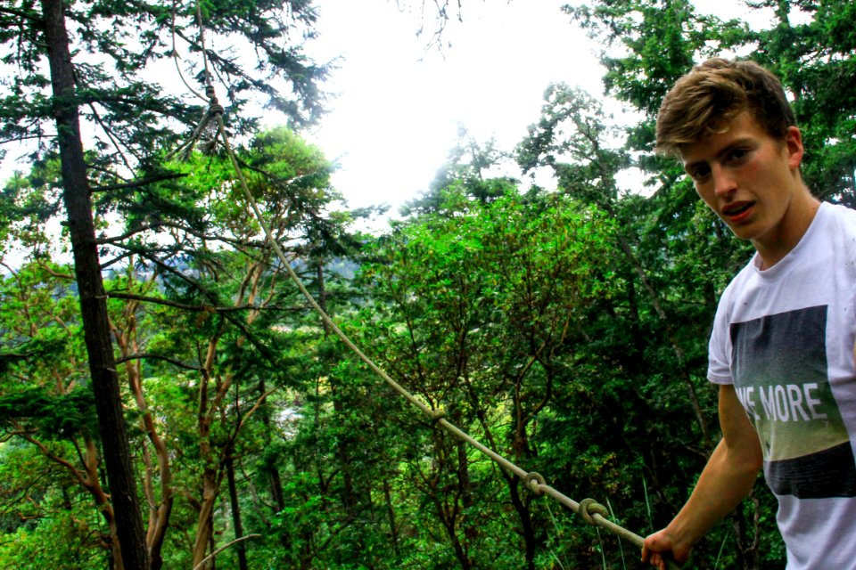 Plant People In Nature Green Tree