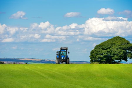 Field-agriculture-farm-grass photo