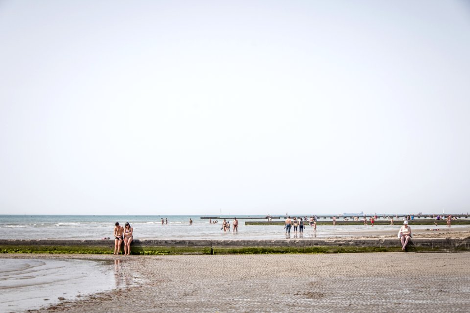 People Exploring A Beach