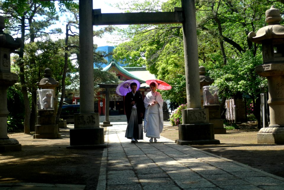Japanese Couple With Umbrellas