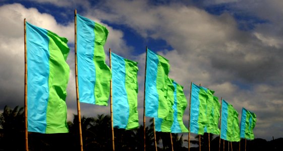 A Flurry Of Green Flags