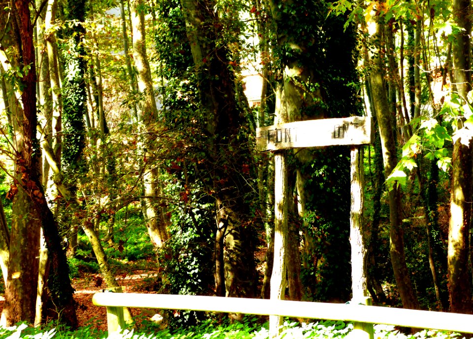 Hiking At Gualba (Montseny)