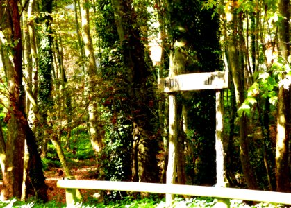 Hiking At Gualba (Montseny)