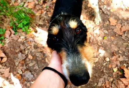 Hiking At Gualba (Montseny)
