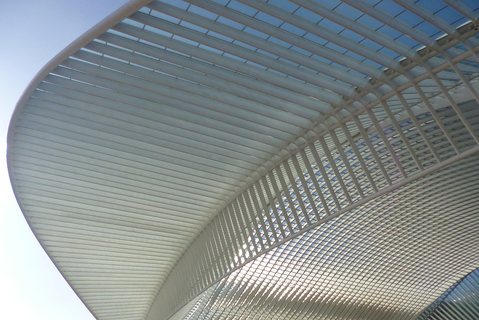 Roof building liege