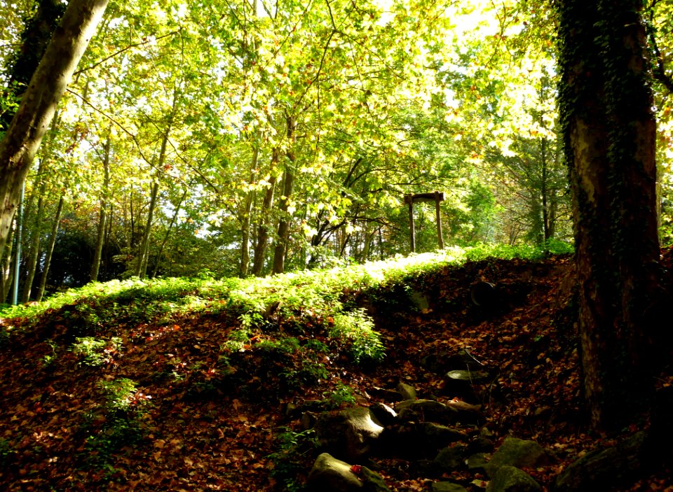 Hiking At Gualba (Montseny)
