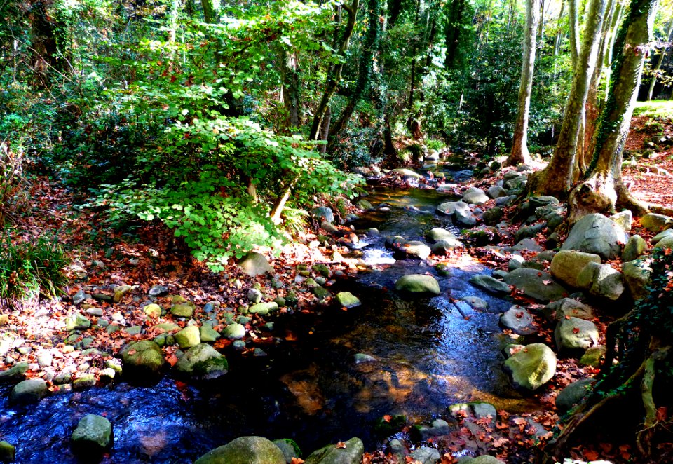 Hiking At Gualba (Montseny)