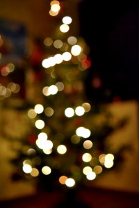 Blurred Christmas Tree photo