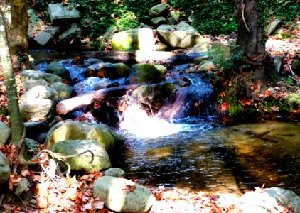 Hiking At Gualba (Montseny)