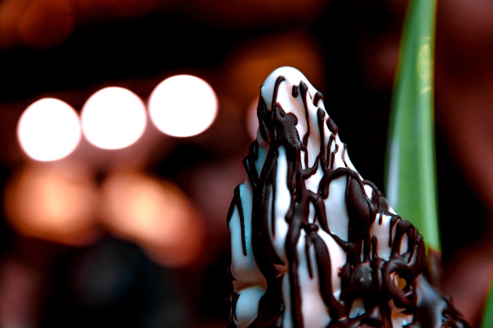 Close-up Of A Sundae Icecream