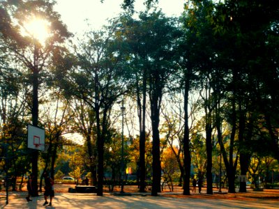 Basketball Court