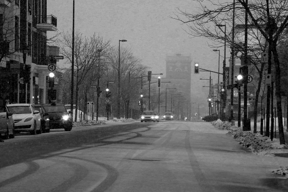Snowy Darky Urban Street Mornings