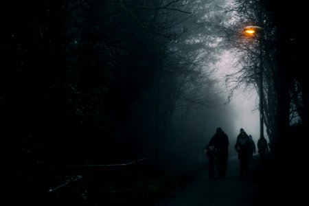 Silhouettes On The Path