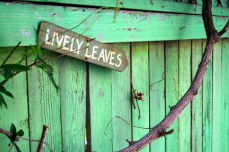 Lively Leaves