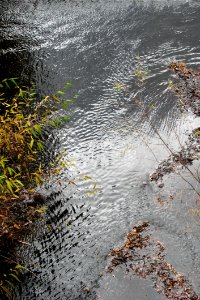 Ripples photo