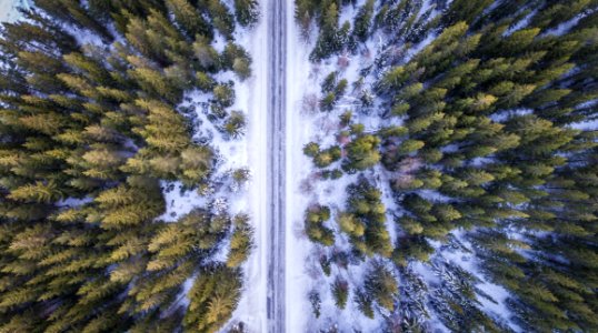 High Angle View Of Trees Against Sky photo