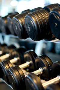 Dumbbells On Rack photo