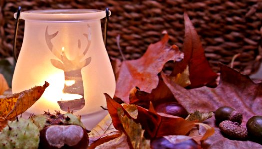 Shallow Focus Photograph Clear Reindeer Print Candle Glass Candle Lamp Near Red Dried Leaf