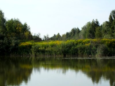 Water Sky Plant Water Resources