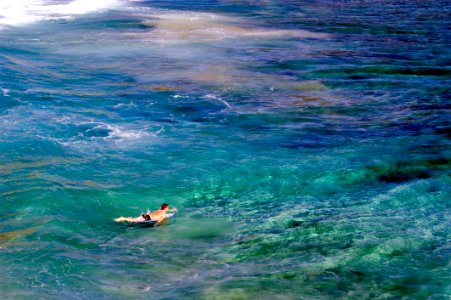 Coral Reef