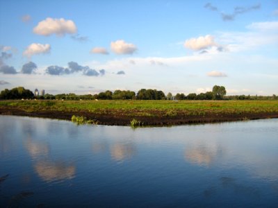 Water And Pasture photo